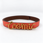 Cosmic Reversible Belt