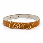 Cosmic Reversible Belt