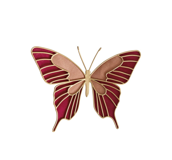 Mariposa Morpho mediana- PRE ORDEN